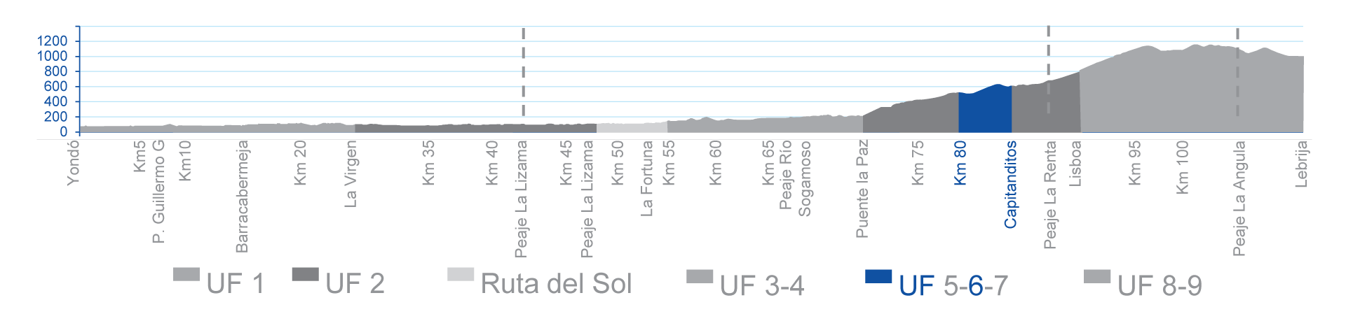 T6