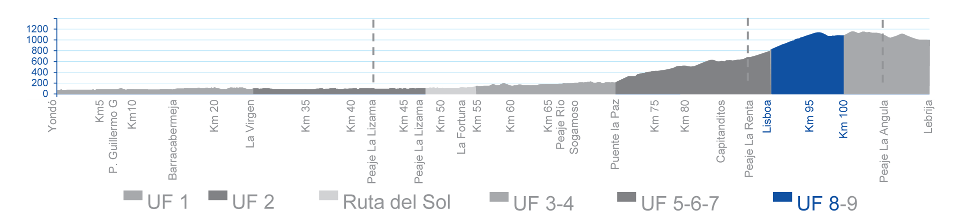 T8